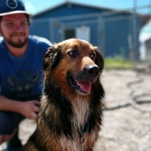 Meet your Posher, Owen